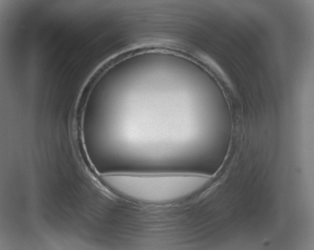 X0000083530924200702090716