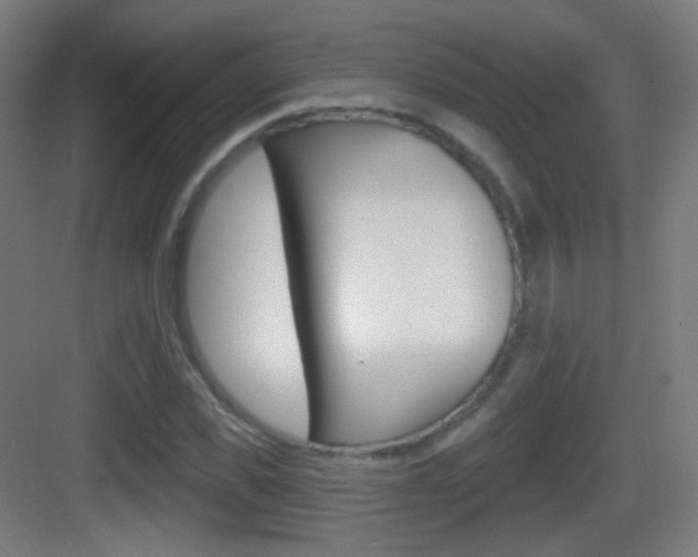 X0000083530925200702090716