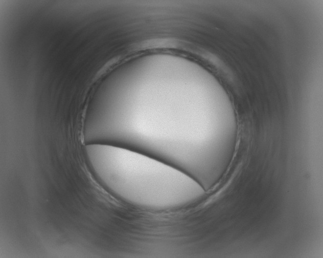 X0000083530929200702090716