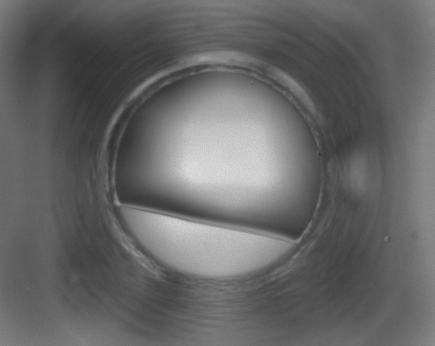 X0000083530931200702090716