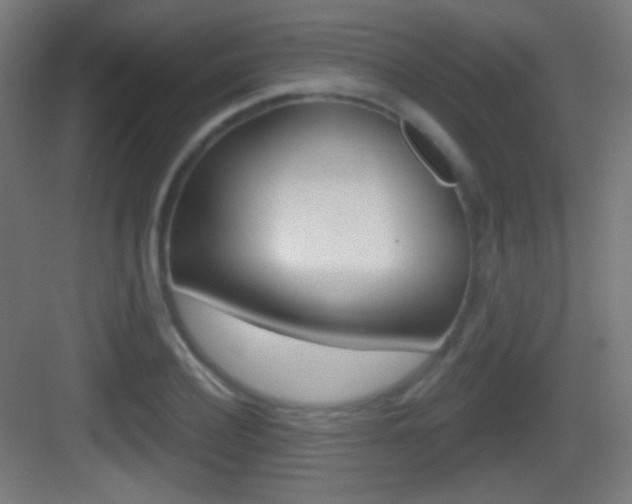X0000083530932200702090716