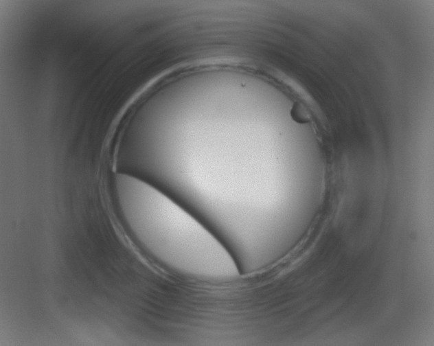 X0000083530933200702090716