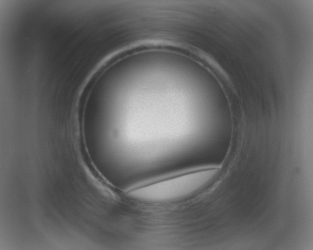 X0000083530934200702090716