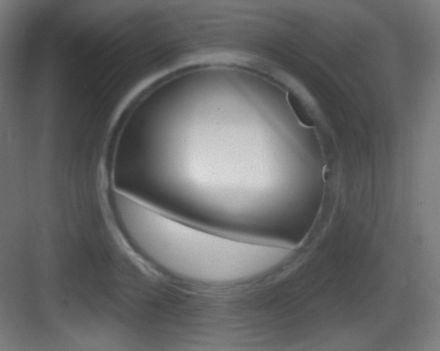 X0000083530936200702090716