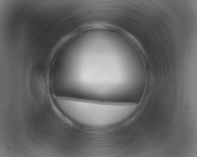 X0000083530938200702090716