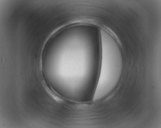 X0000083530940200702090716