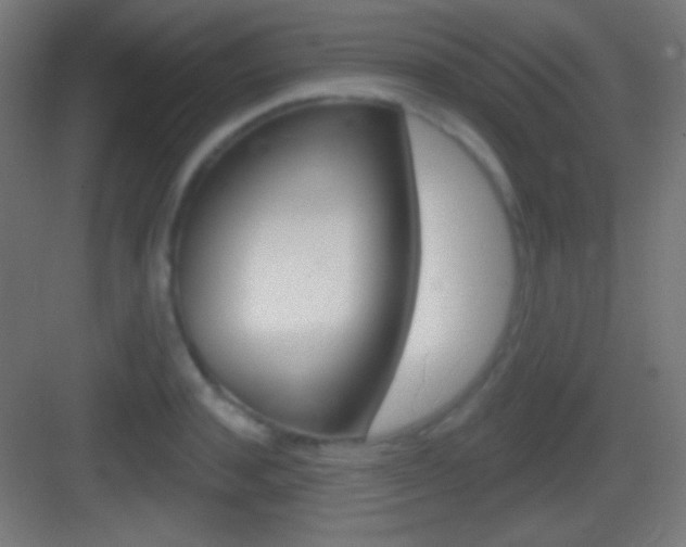 X0000083530944200702090716