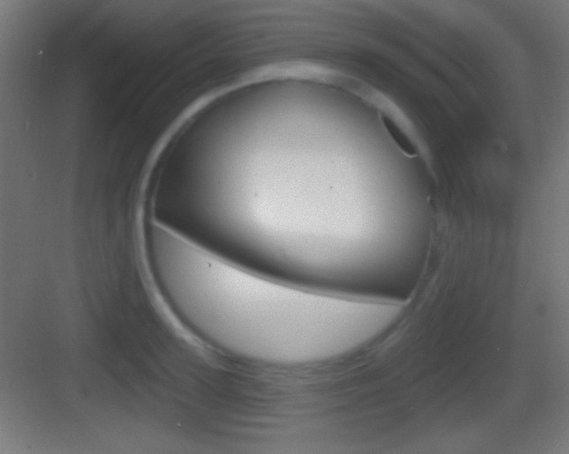 X0000083530947200702090716