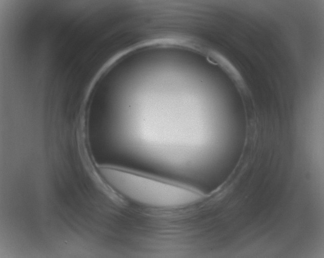X0000083530948200702090716