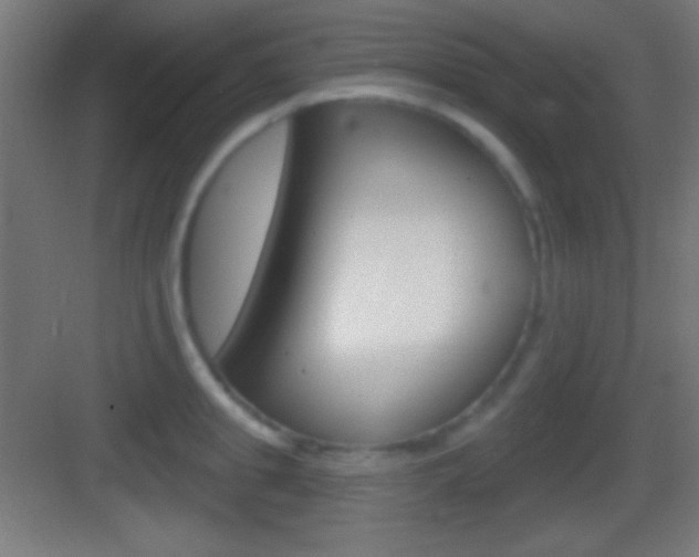 X0000083530949200702090716