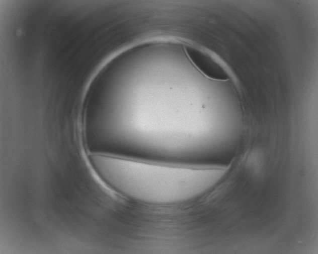 X0000083530951200702090716