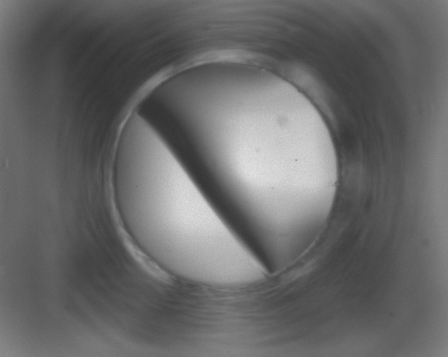 X0000083530954200702090716