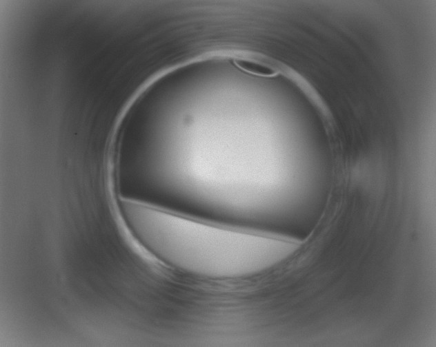 X0000083530955200702090716