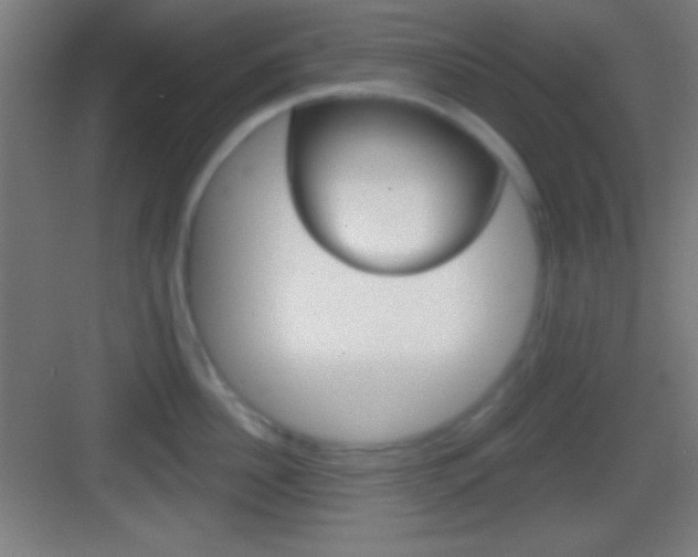 X0000083530956200702090716
