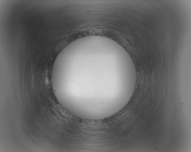 X0000083530962200702090716