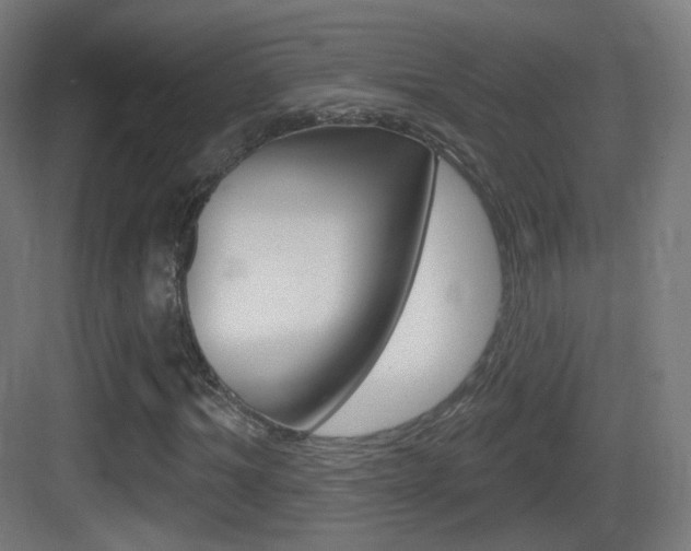 X0000083530964200702090716