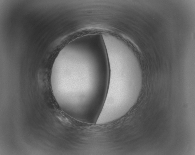 X0000083530968200702090716