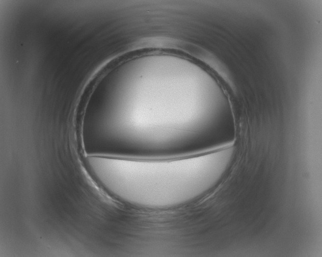 X0000083530972200702090716