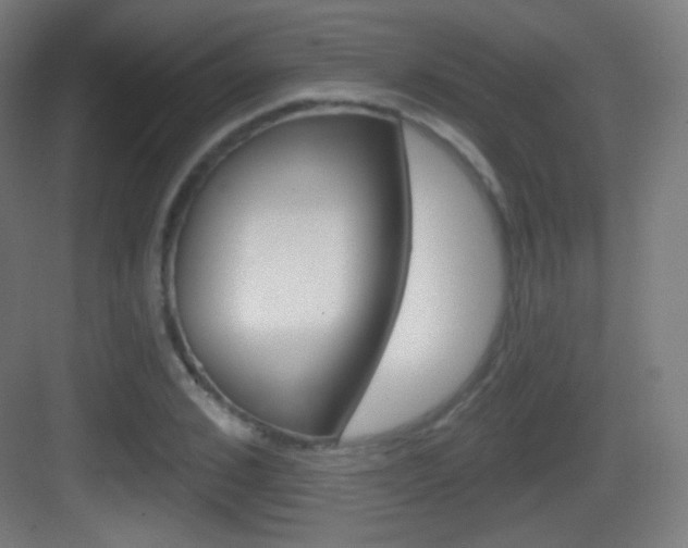 X0000083530976200702090715