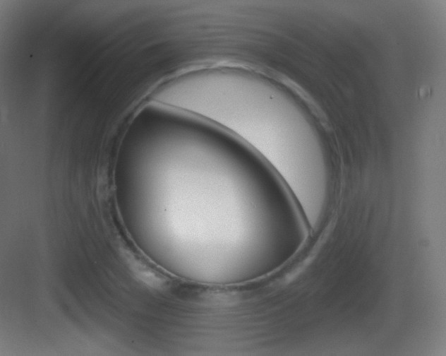 X0000083530977200702090715