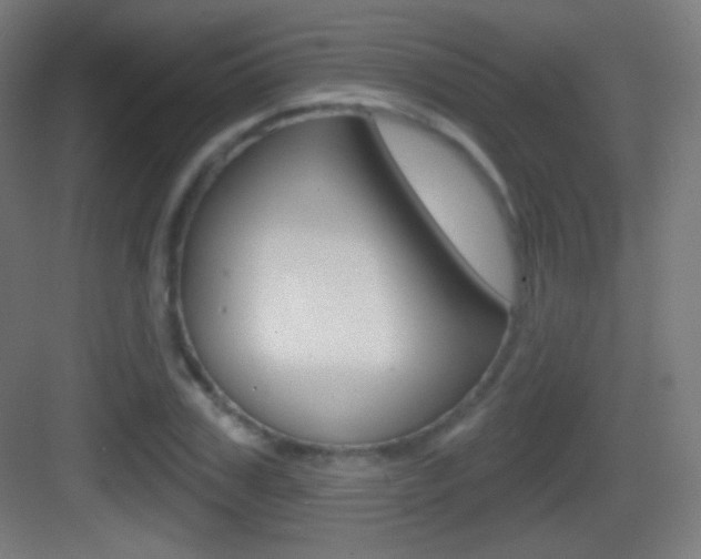 X0000083530979200702090715