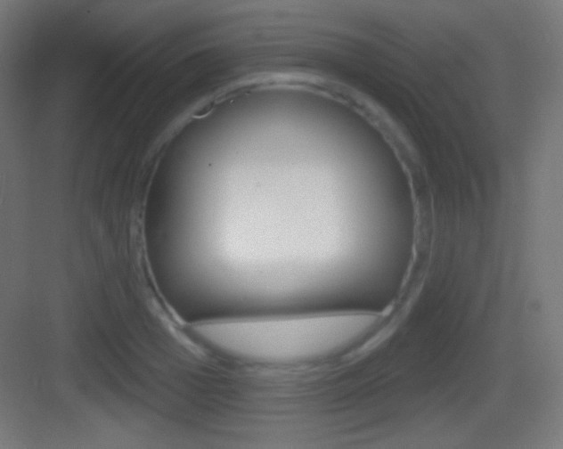 X0000083530985200702090715