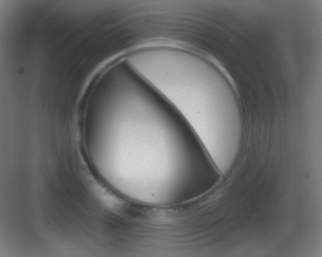 X0000083530987200702090715