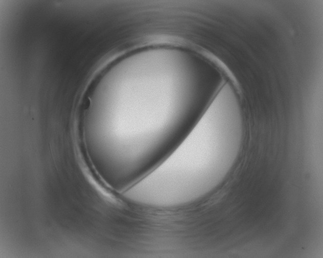 X0000083530991200702090715