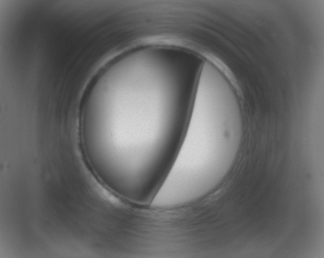 X0000083530992200702090715
