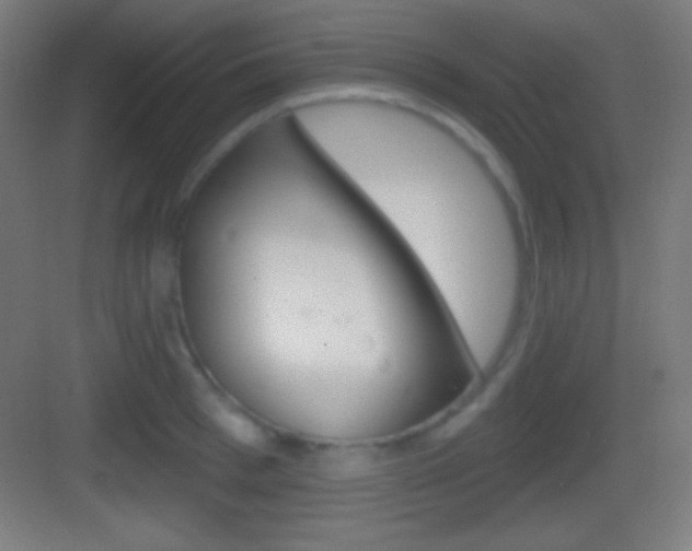 X0000083530993200702090715