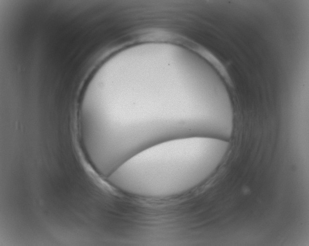 X0000083531000200702090715