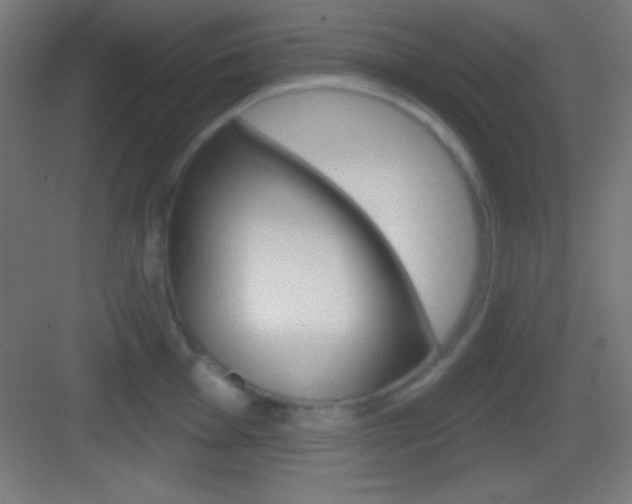 X0000083531001200702090715