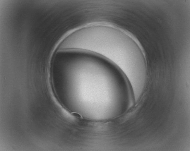 X0000083531005200702090715