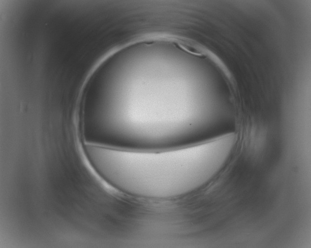 X0000083531007200702090715