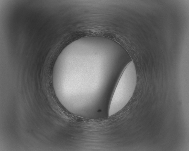 X0000083531009200702090714