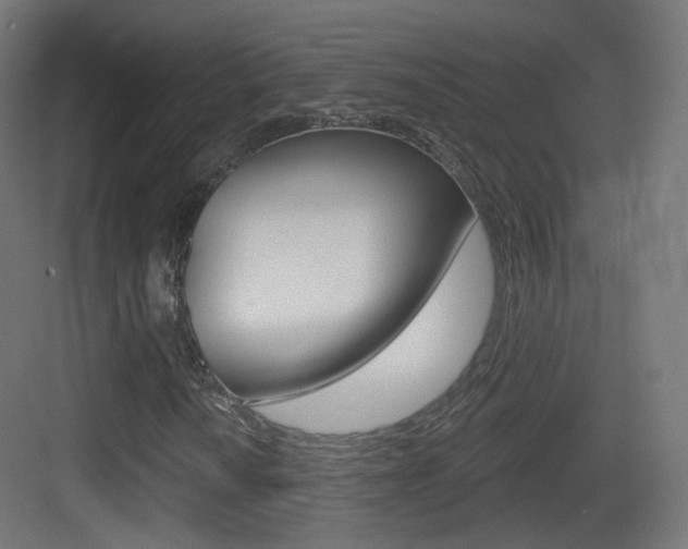 X0000083531010200702090714