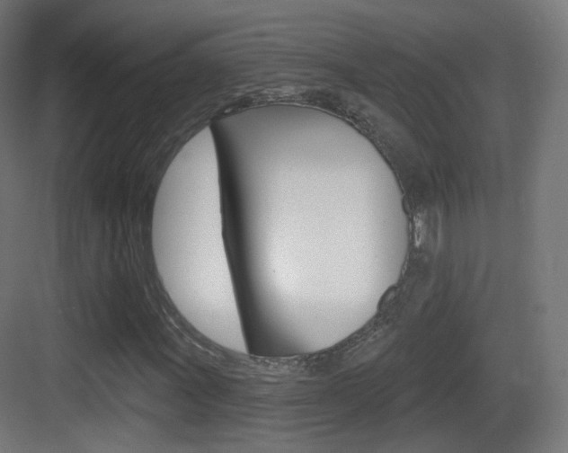 X0000083531011200702090714