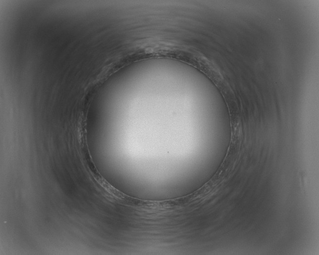 X0000083531012200702090714