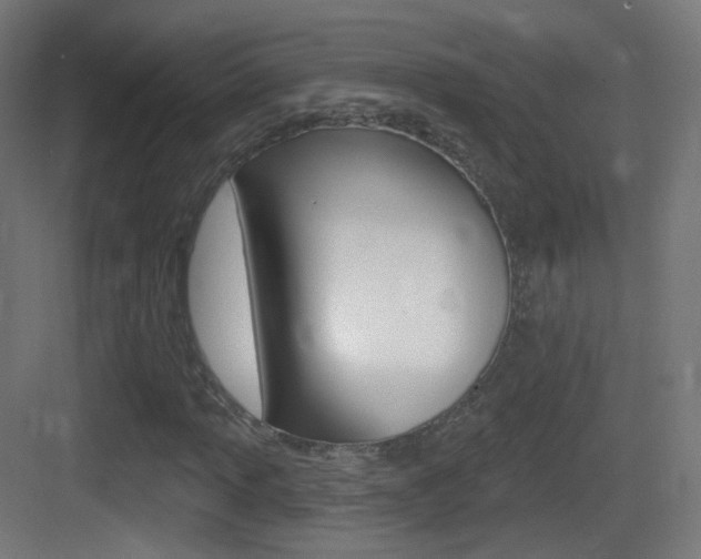X0000083531013200702090714