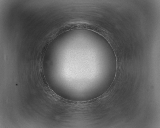 X0000083531014200702090714