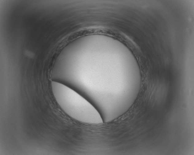 X0000083531015200702090714