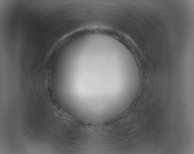 X0000083531016200702090714