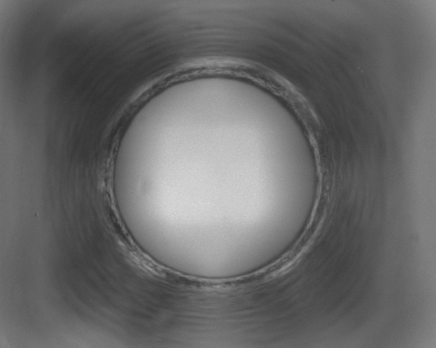X0000083531017200702090714