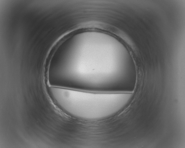 X0000083531020200702090714
