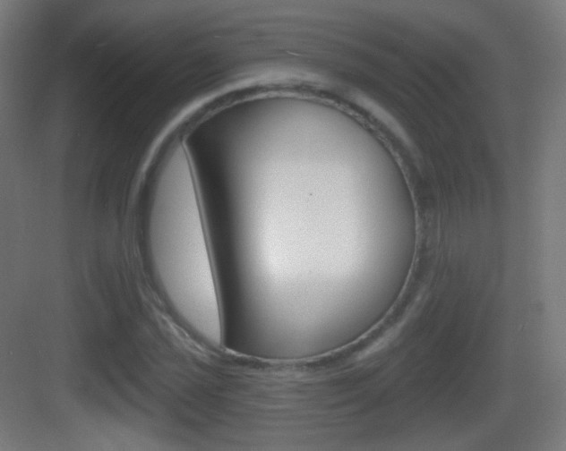 X0000083531021200702090714