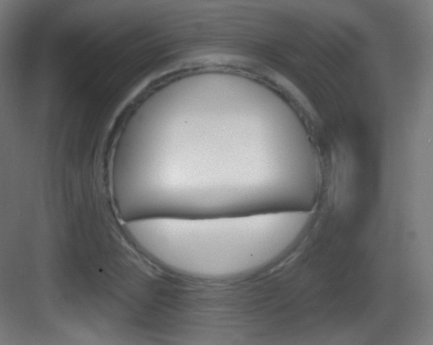 X0000083531023200702090714