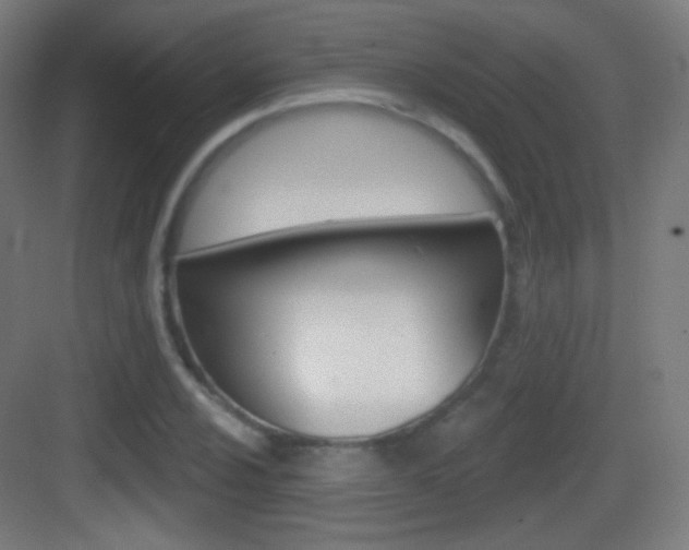 X0000083531024200702090714