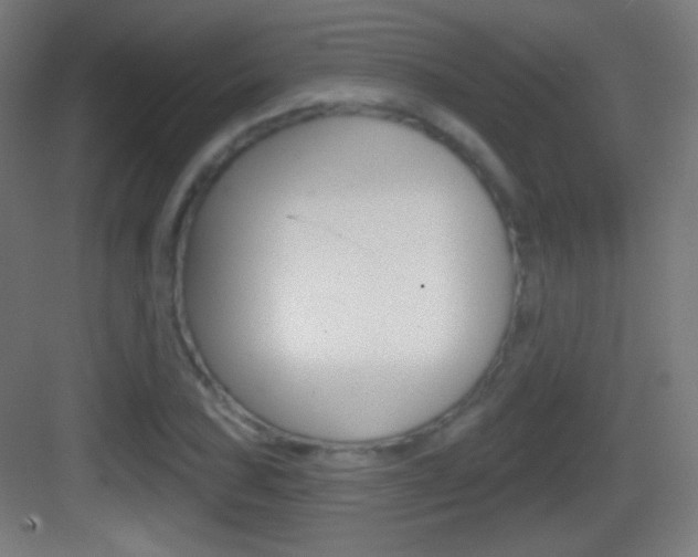 X0000083531027200702090714
