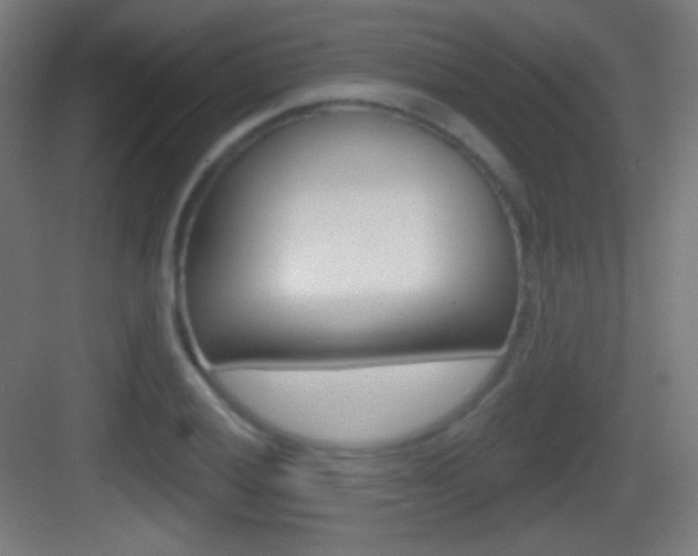X0000083531028200702090714
