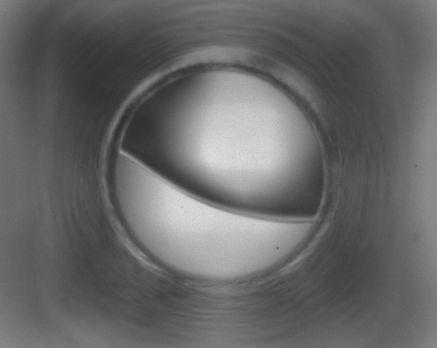 X0000083531029200702090714